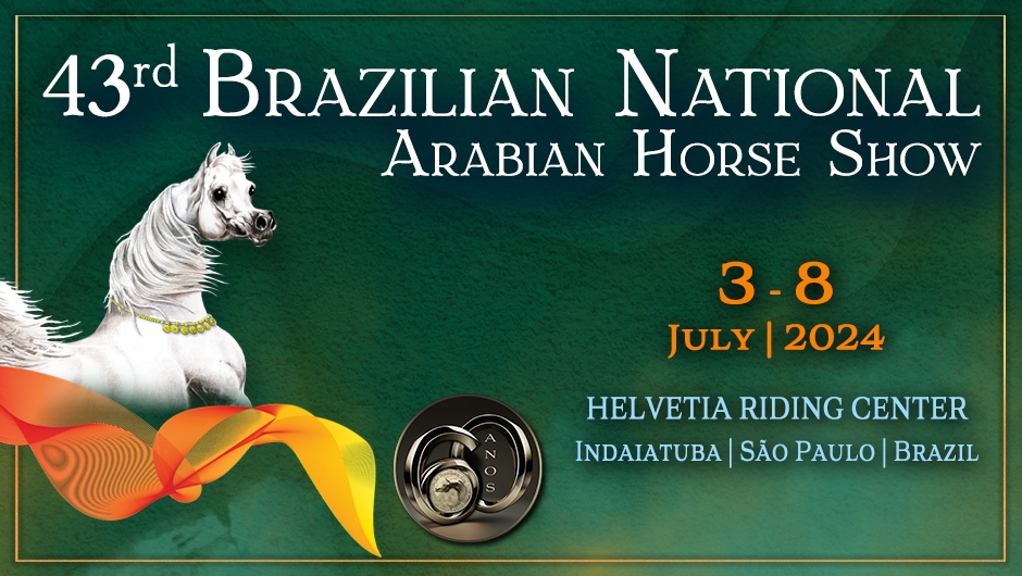 Brazilian National Arabian Horse Show 2024 Events Arabian Essence TV